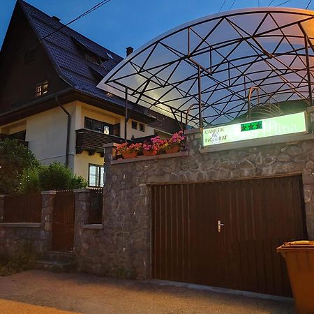 Casa Mina Otel Buşteni Dış mekan fotoğraf